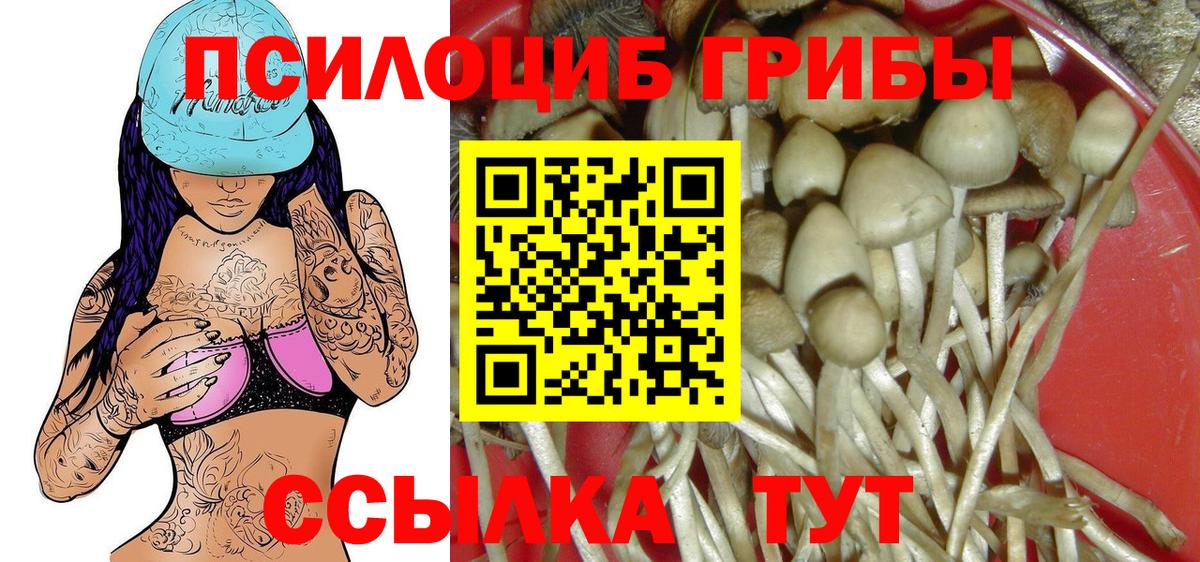 Псилоцибиновые грибы ЛСД Кинель