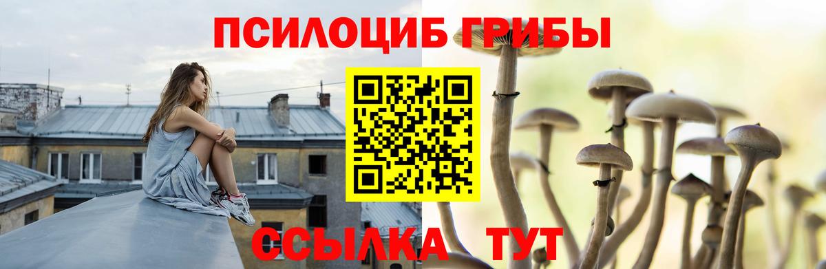 Галлюциногенные грибы GOLDEN TEACHER  Вход с VPN  Кинель 